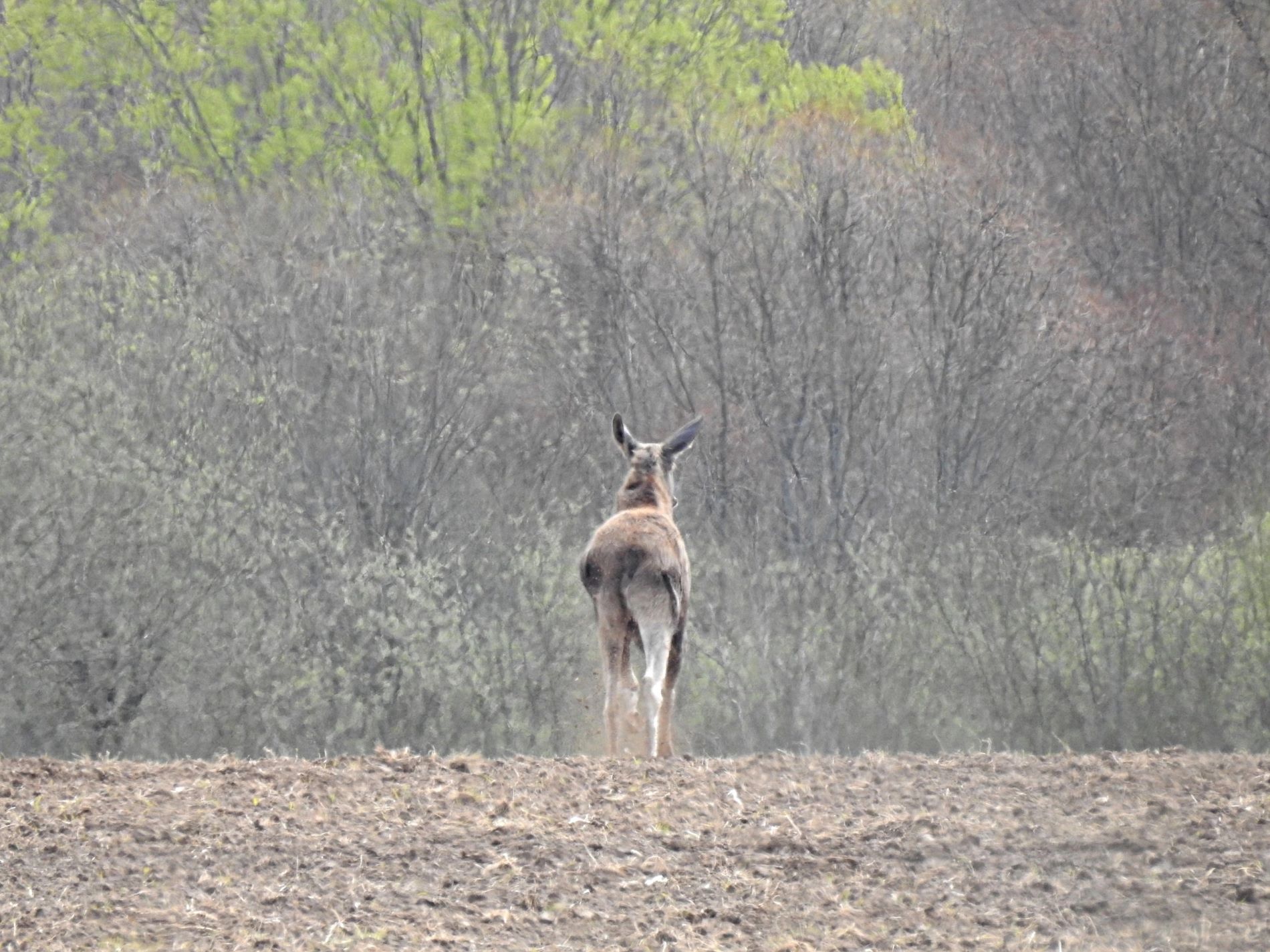 В Твери парень задушил возлюбленного матери