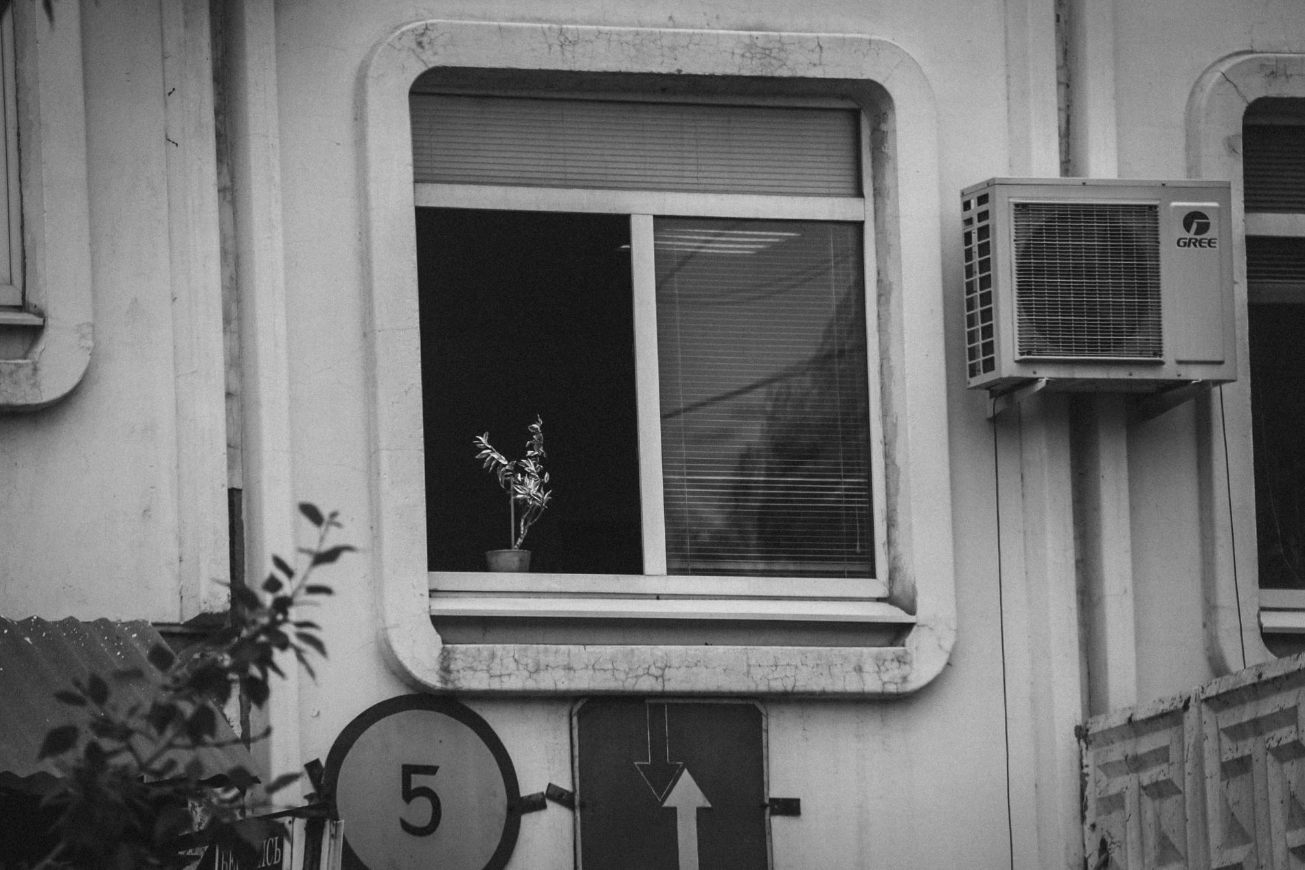 Привет, сосед: в декабре в России вступают в силу новые законы