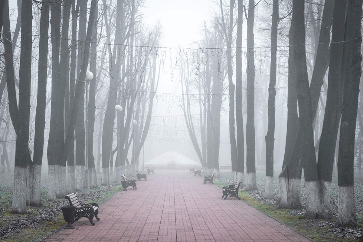 В Твери открыли Дворец бракосочетания