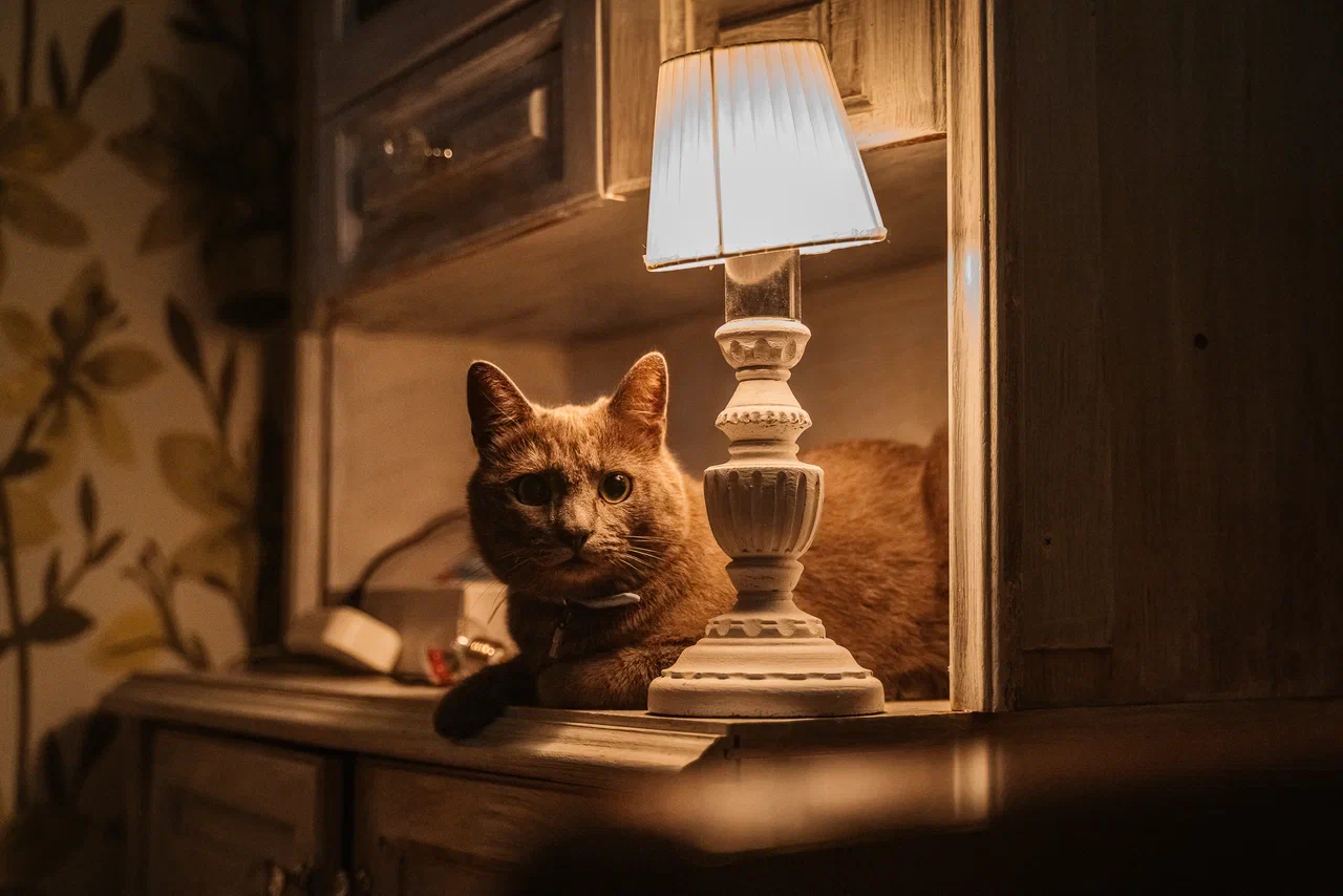 отключат свет