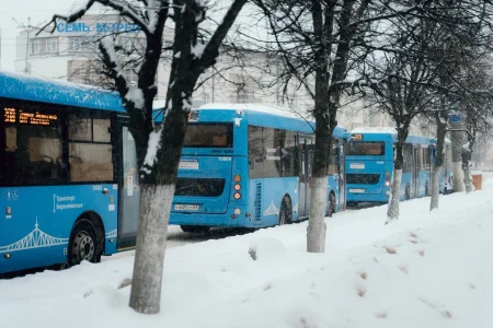 абонементы