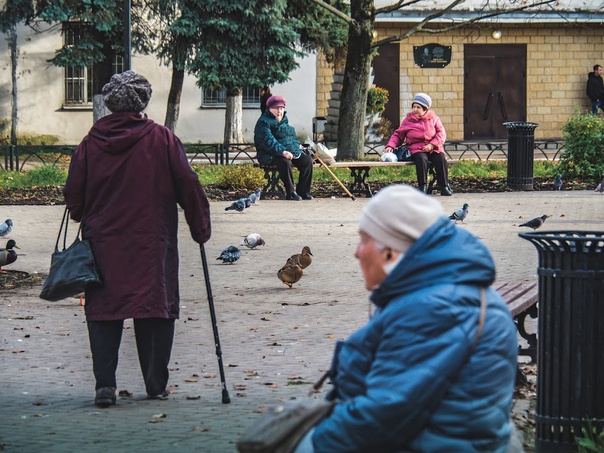 Привет, сосед: в декабре в России вступают в силу новые законы