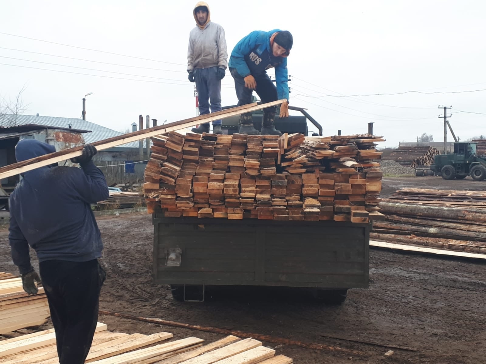 гуманитарную