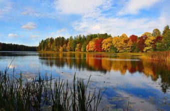 победителем