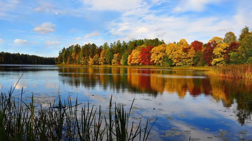 победителем