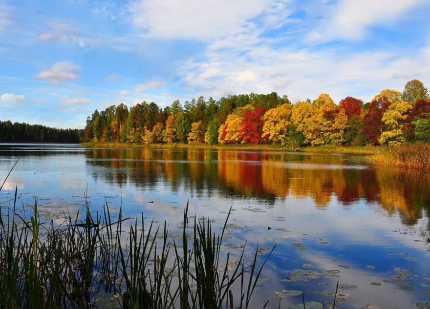 победителем