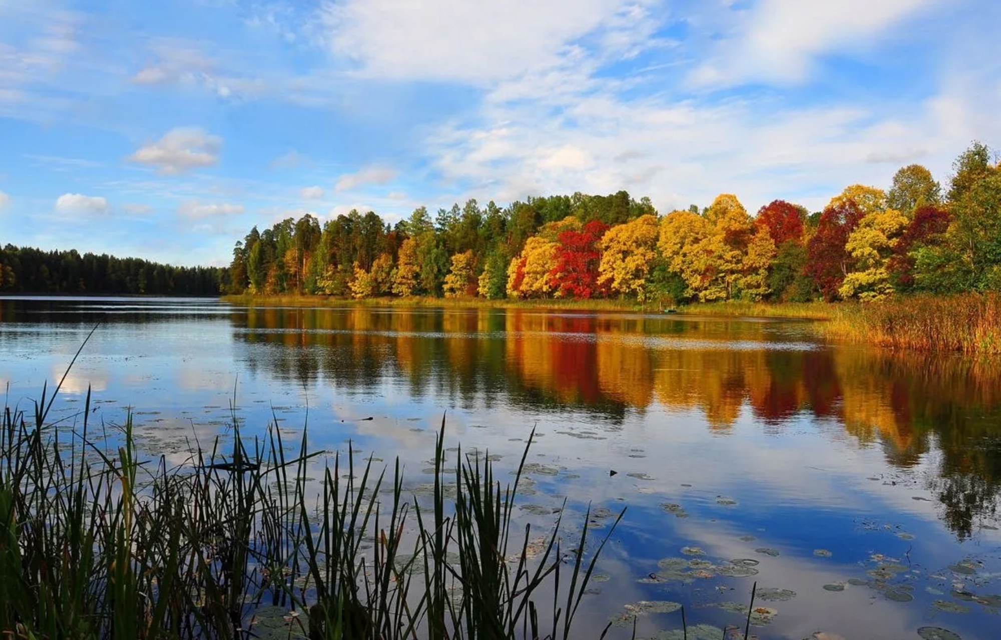 В Тверской области меняется схема движения на аварийном участке