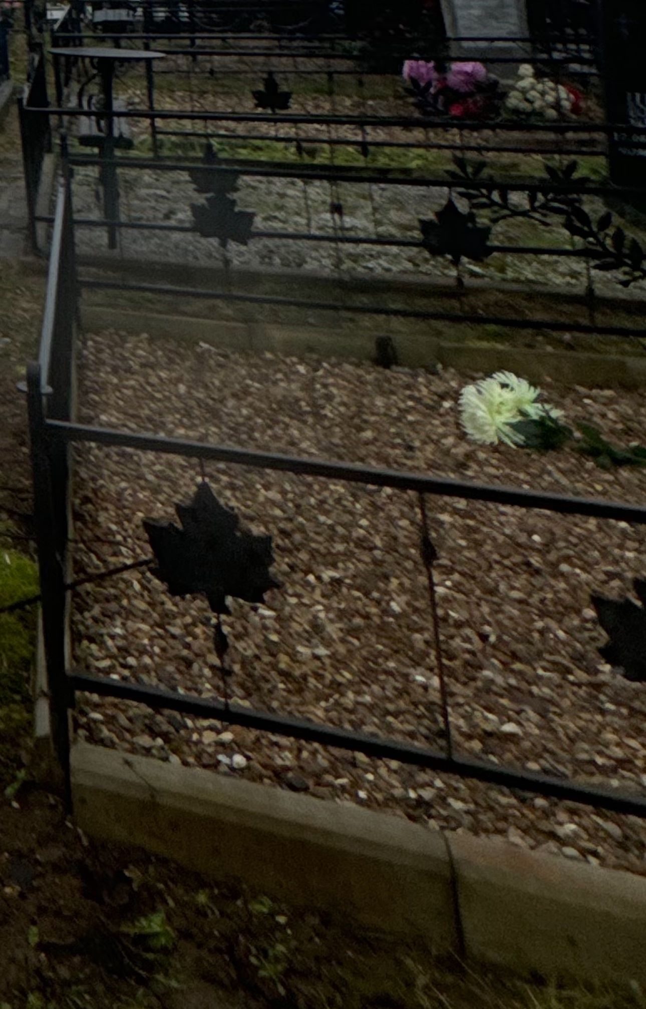 Умерший муж сообщил во сне жительнице Тверской области, что на могиле беда