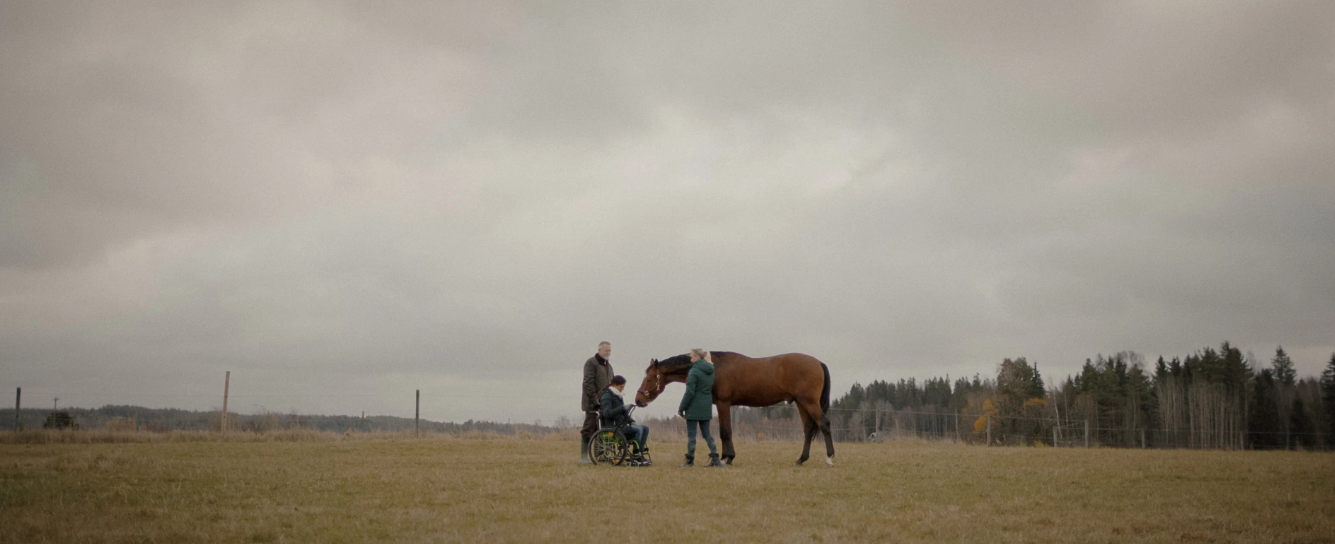 Навстречу ветру: новогодний топ кино о лошадях и наездниках