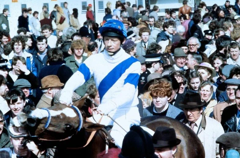 Навстречу ветру: новогодний топ кино о лошадях и наездниках