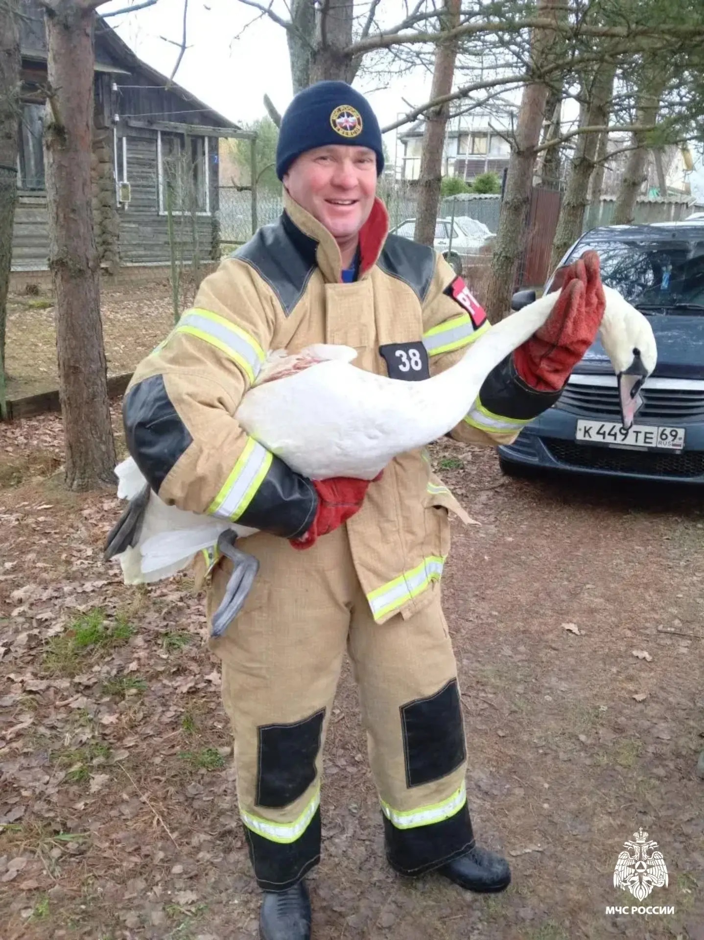 В Тверской области спасли лебедя с раненым крылом