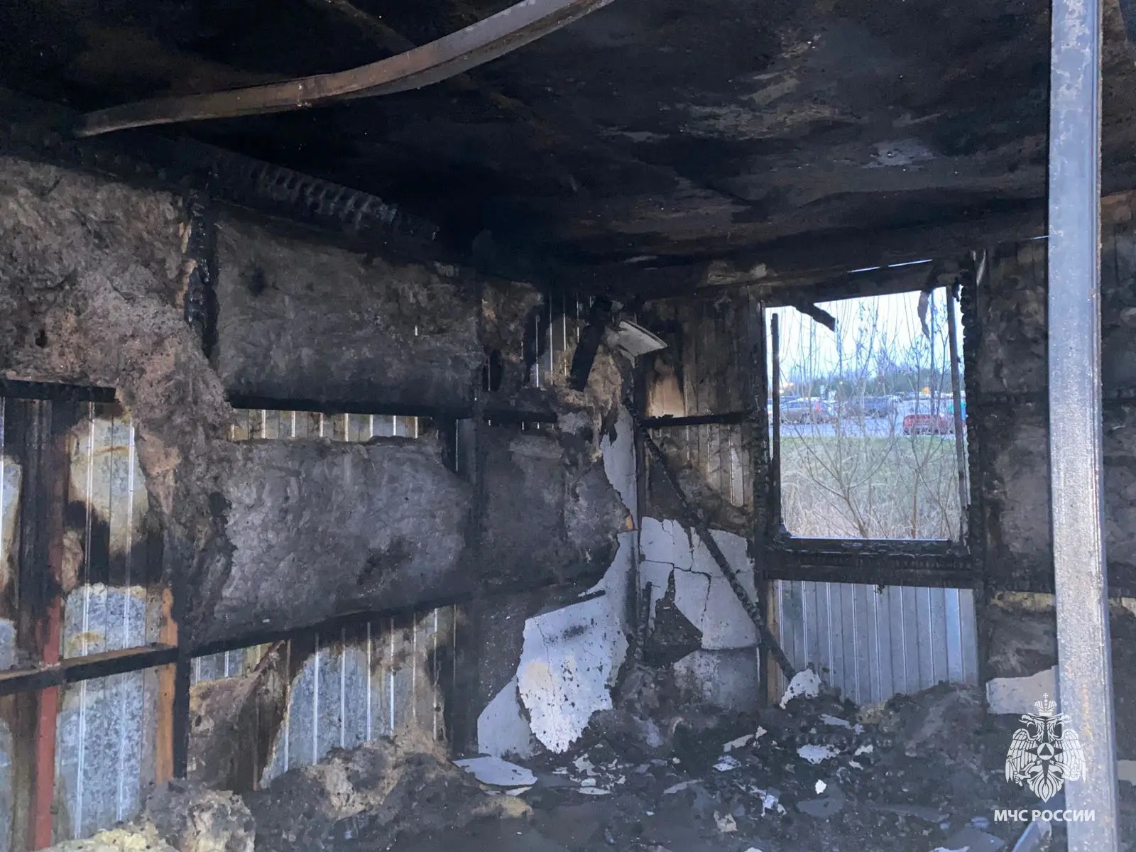 В Тверской области полярное сияние может стать реальностью благодаря магнитным бурям