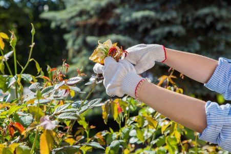 Почти 20 тысяч юных жителей Тверской области получили трудовой опыт трудовой