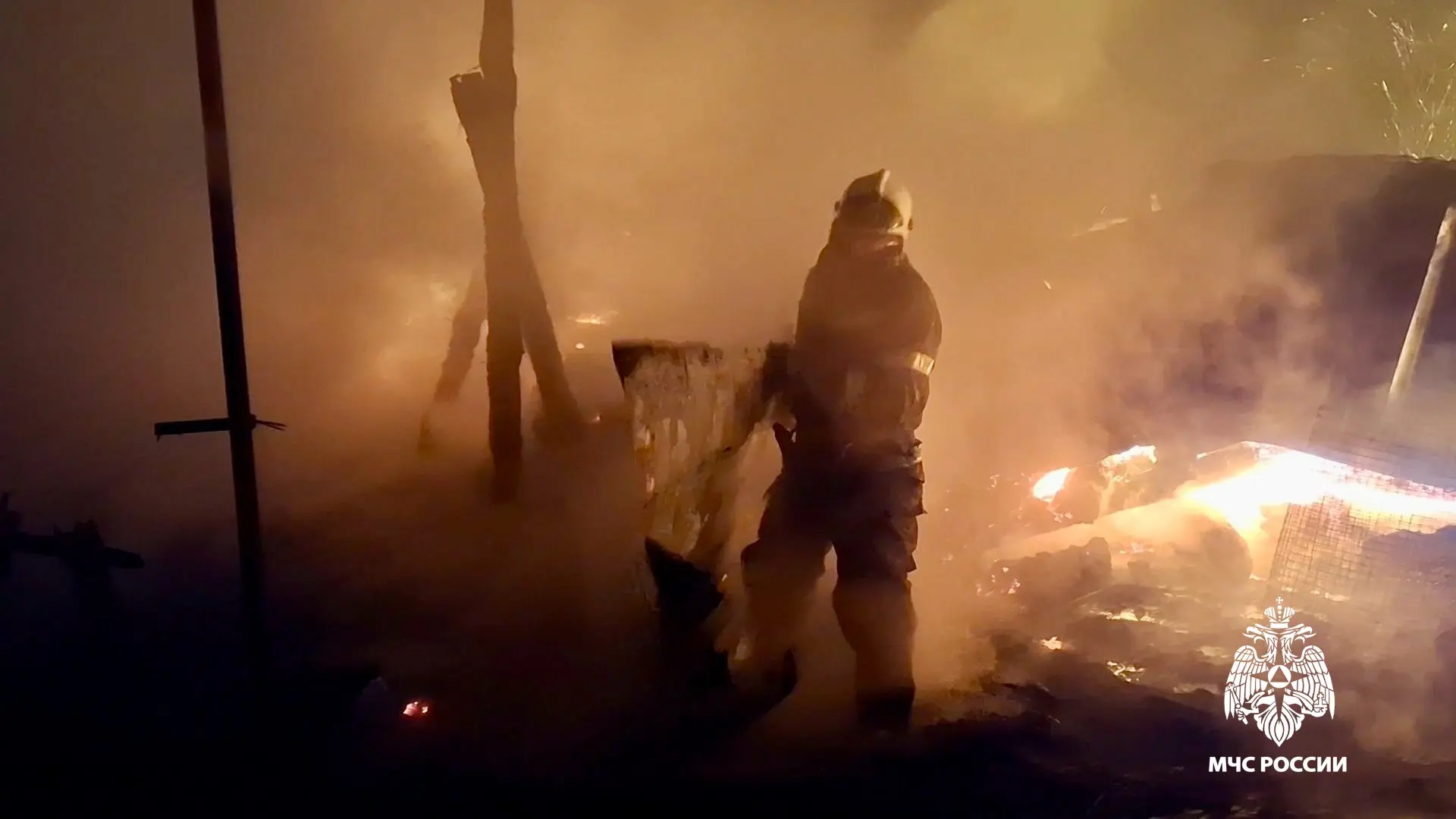 На пожаре в Тверской области погибли куры и козы