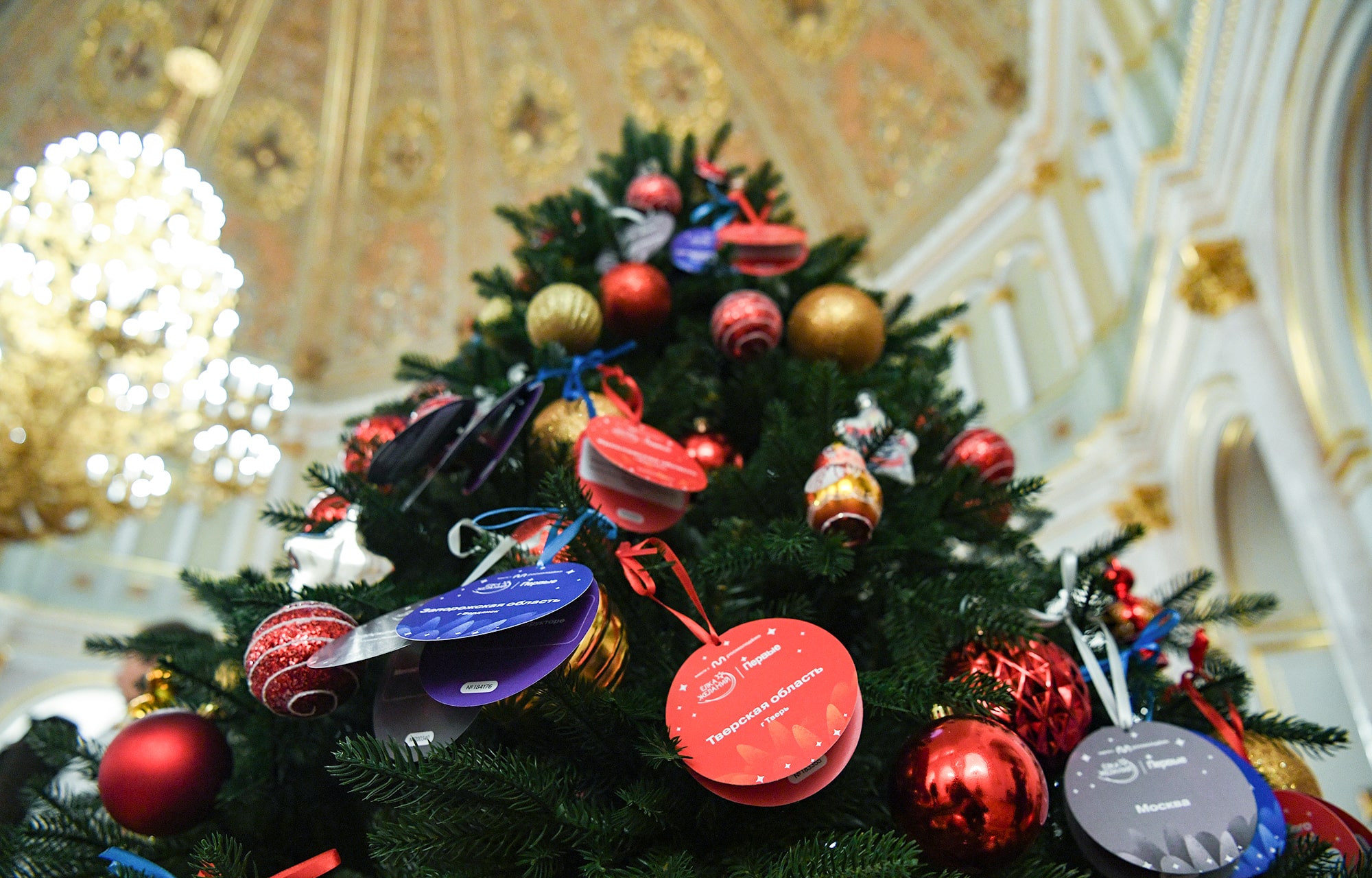 Виталий Королев исполнит новогодние мечты юных жителей Тверской области и Бердянска