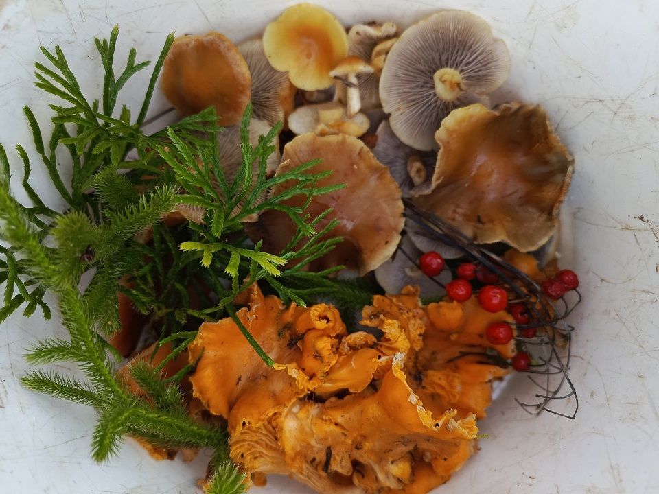 По реке в Твери расползлись нефтяные пятна