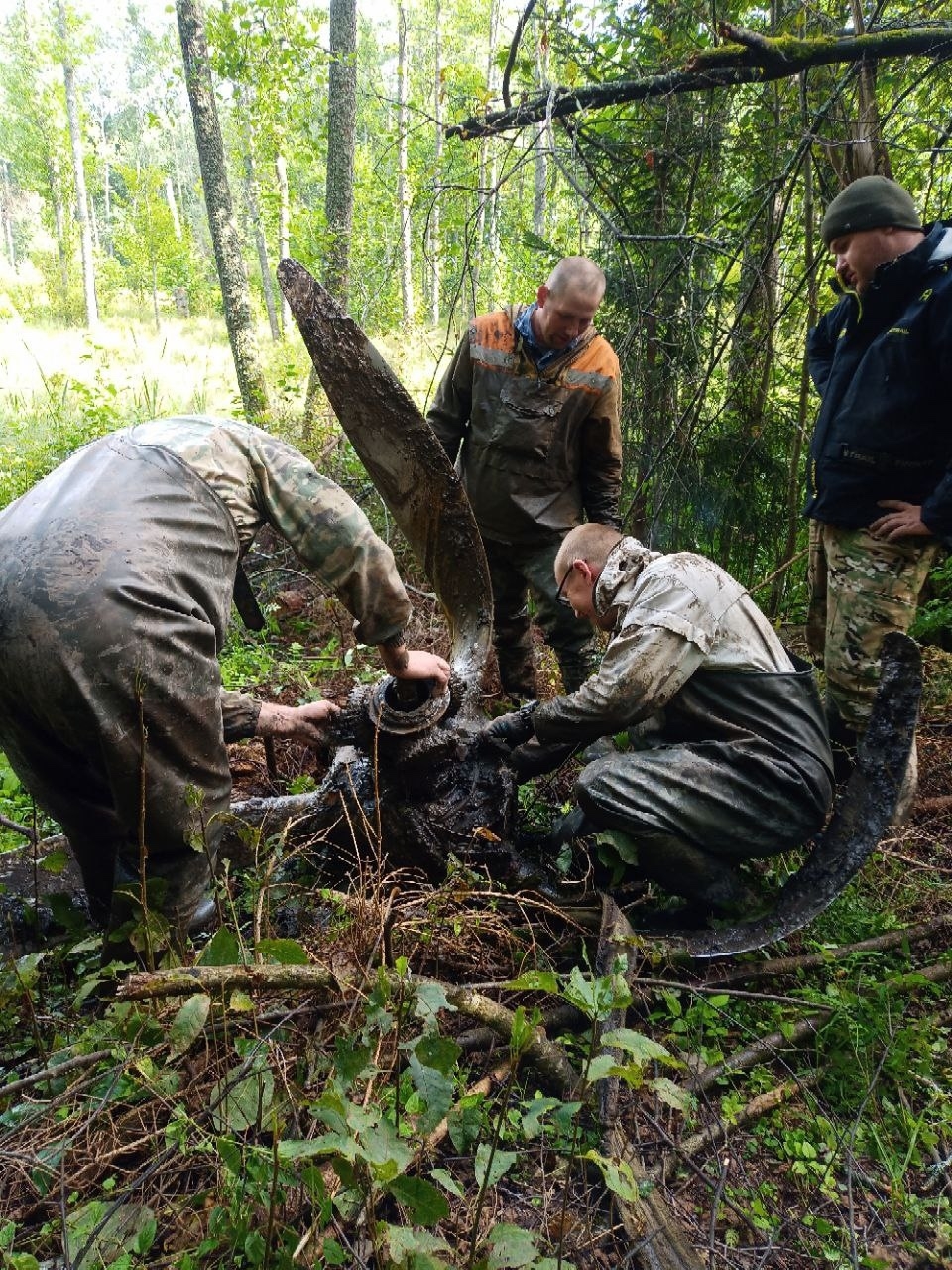 На М9 в Тверской области водитель легковушки получил травмы, столкнувшись с лосем