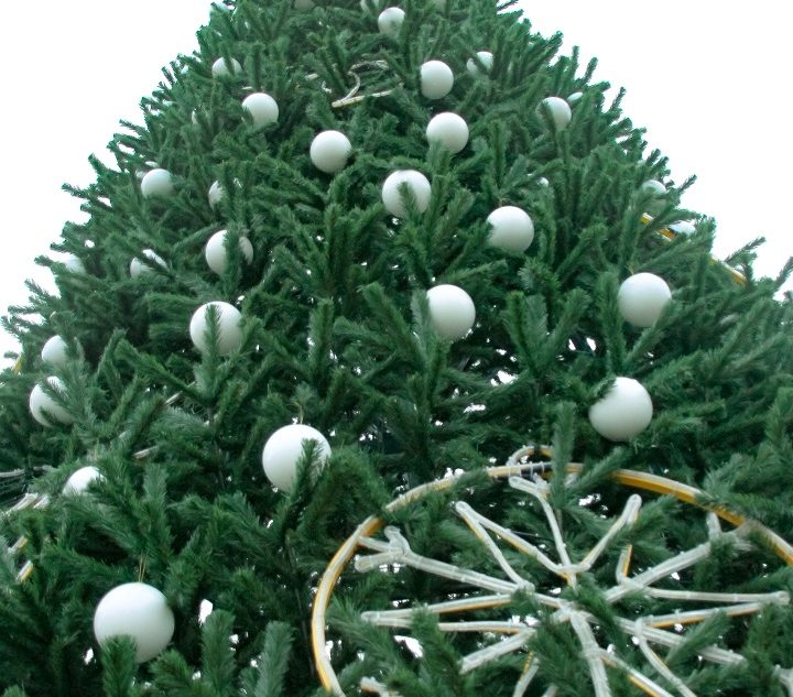 новогодняя ель