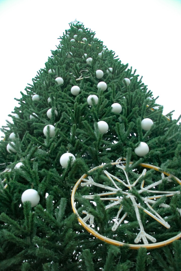 новогодняя ель