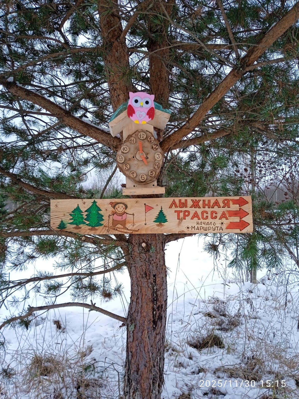 В Тверской области появились оригинальные лыжные кормушки