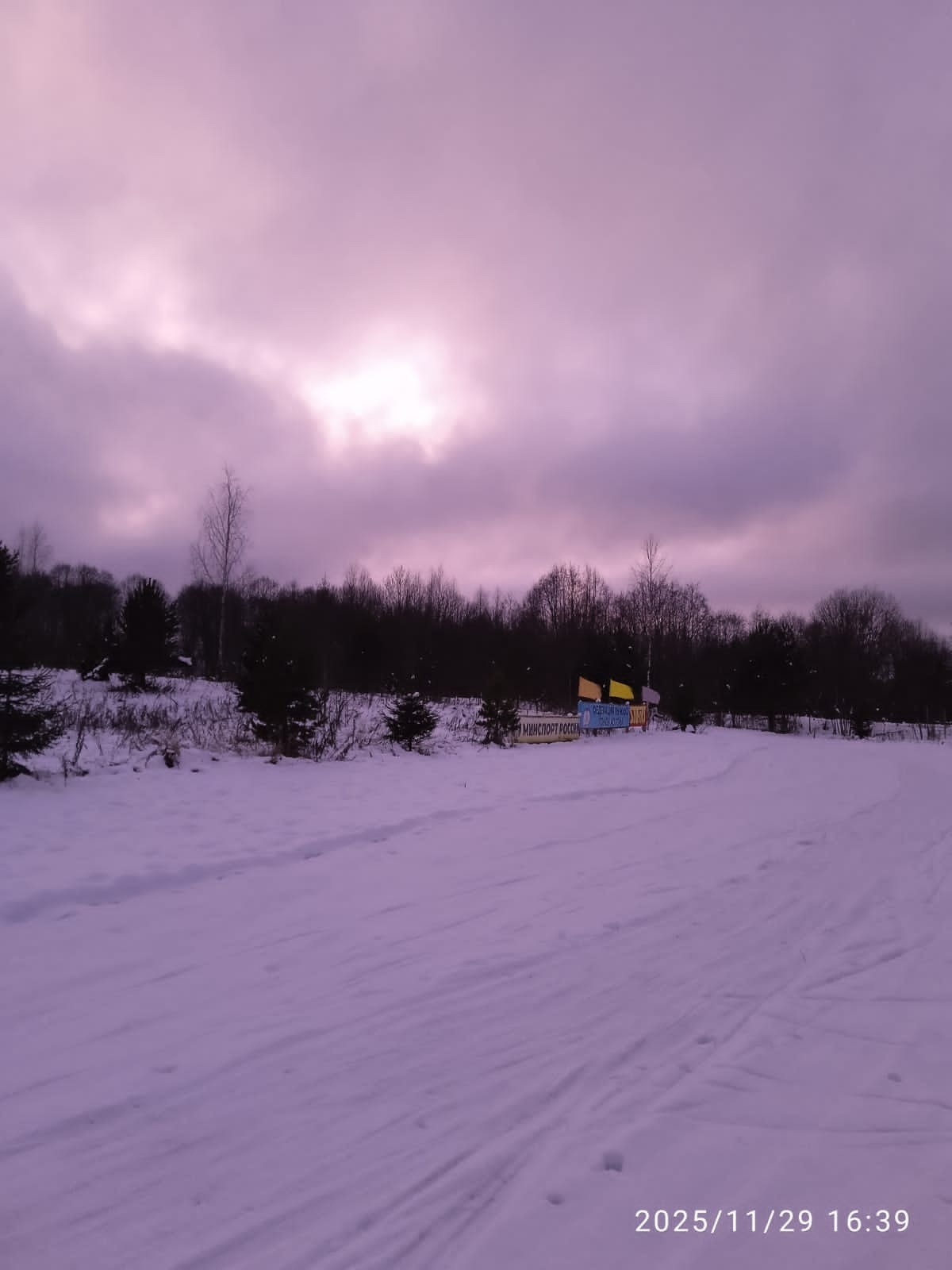 В Тверской области появились оригинальные лыжные кормушки