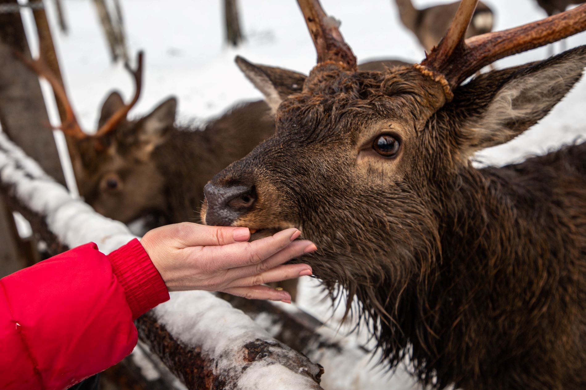 Тверская область вошла в число лидеров по росту туристического потока