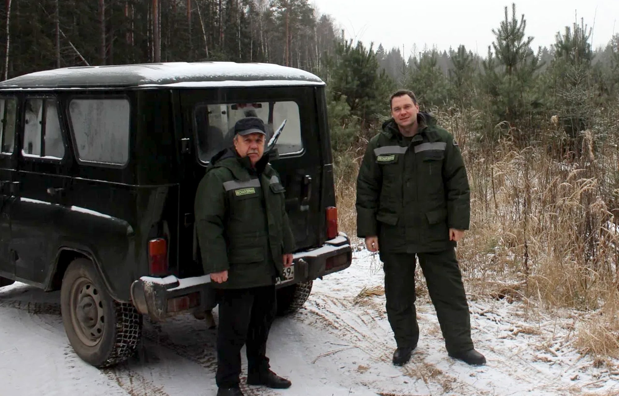 В Тверской области усилили охрану хвойных деревьев от незаконных рубок