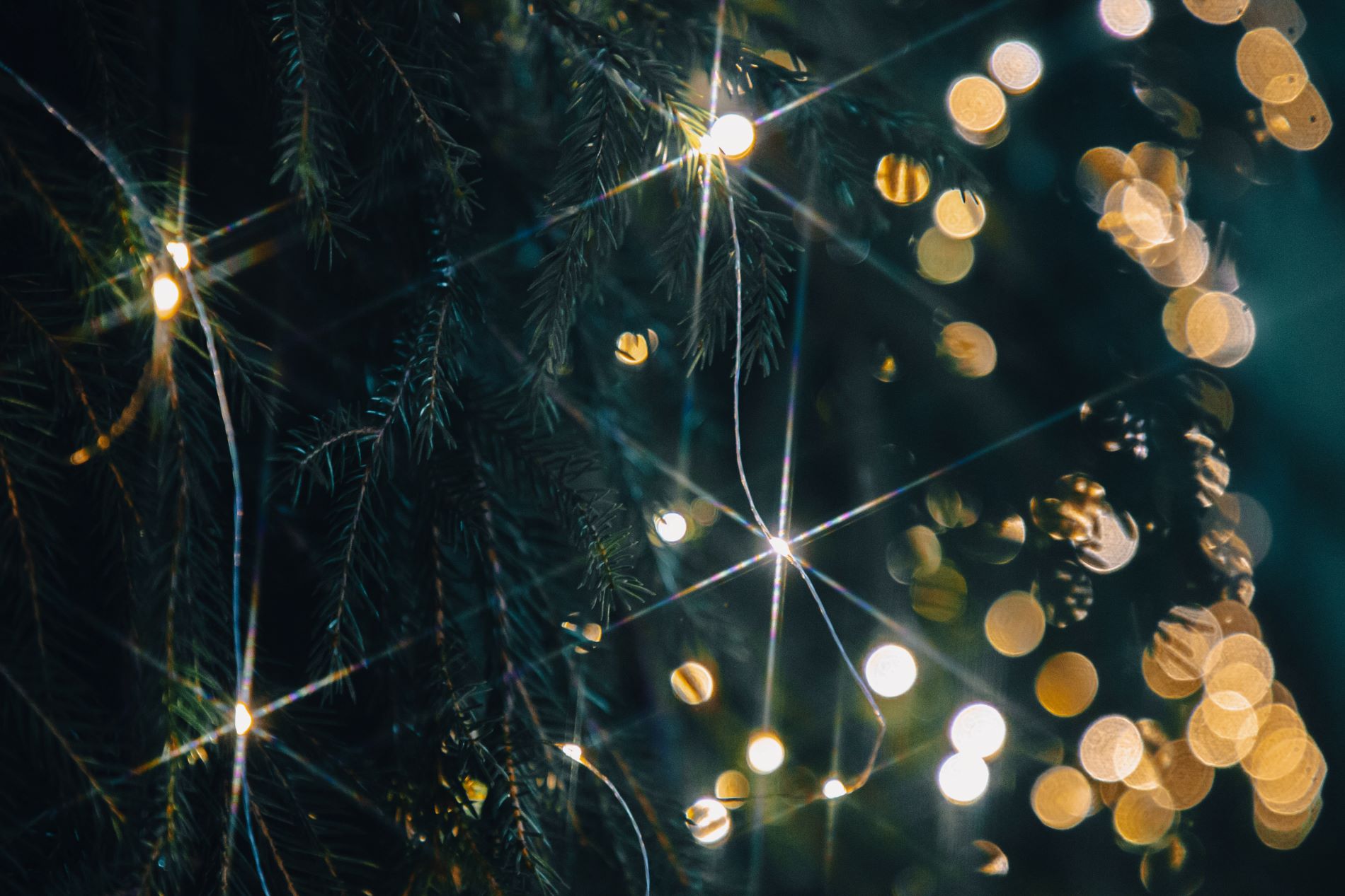 Погода на Новый год в Тверской области будет отличная