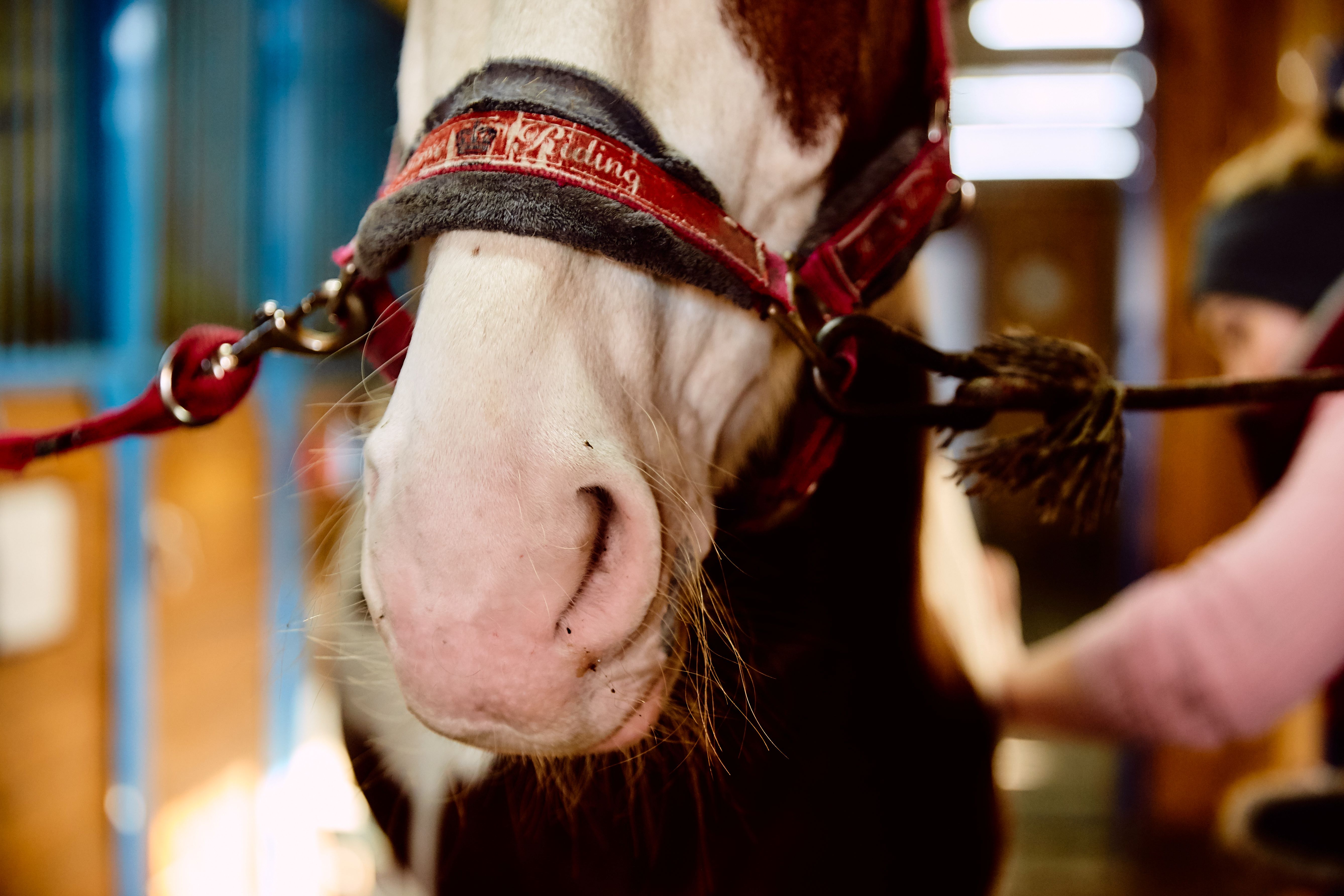Жительница Твери заработала судимость, согласившись стать фиктивным учредителем