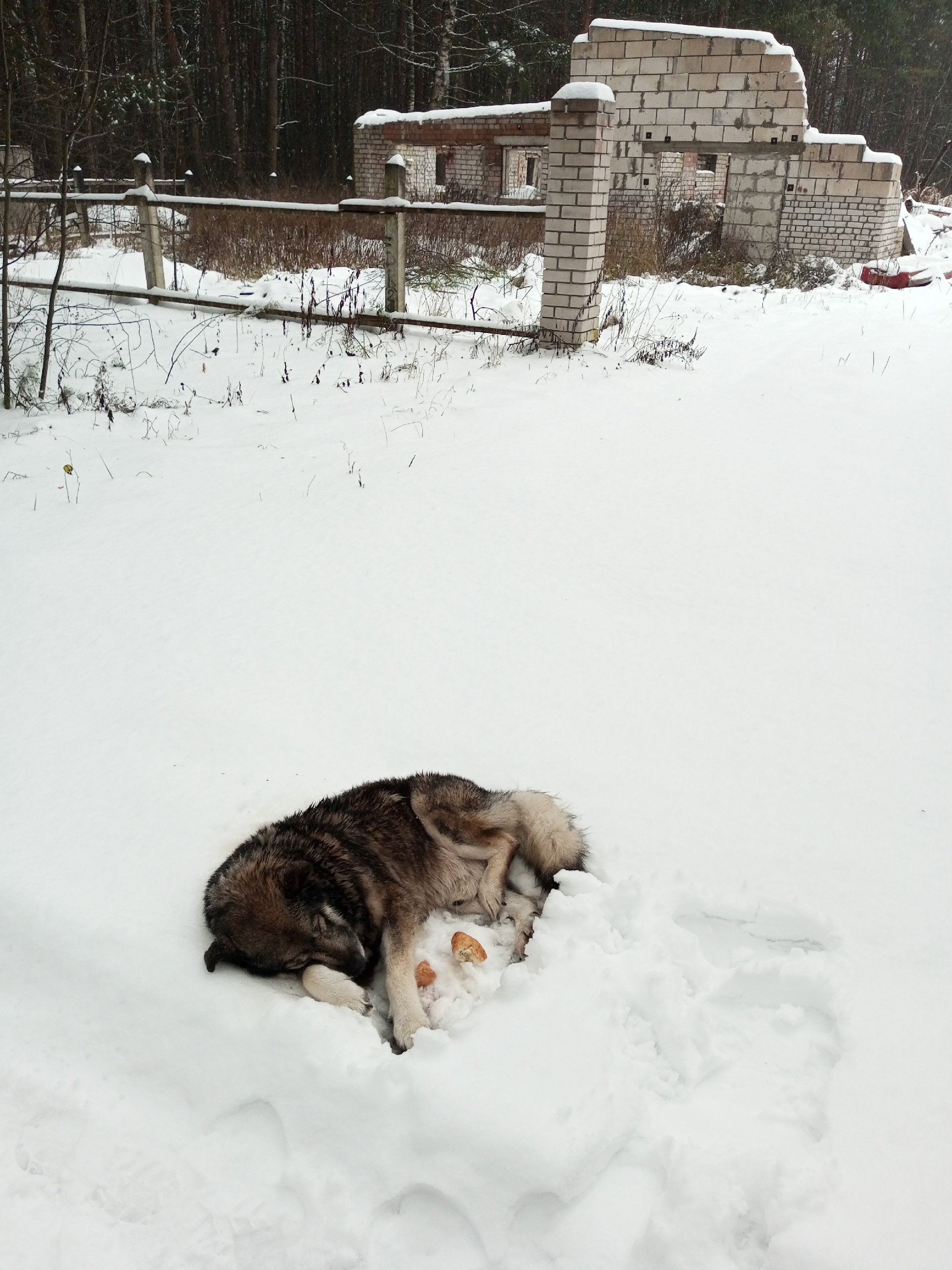 Работодатель в Тверской области выплатил 400 тысяч рублей после травмы сотрудника