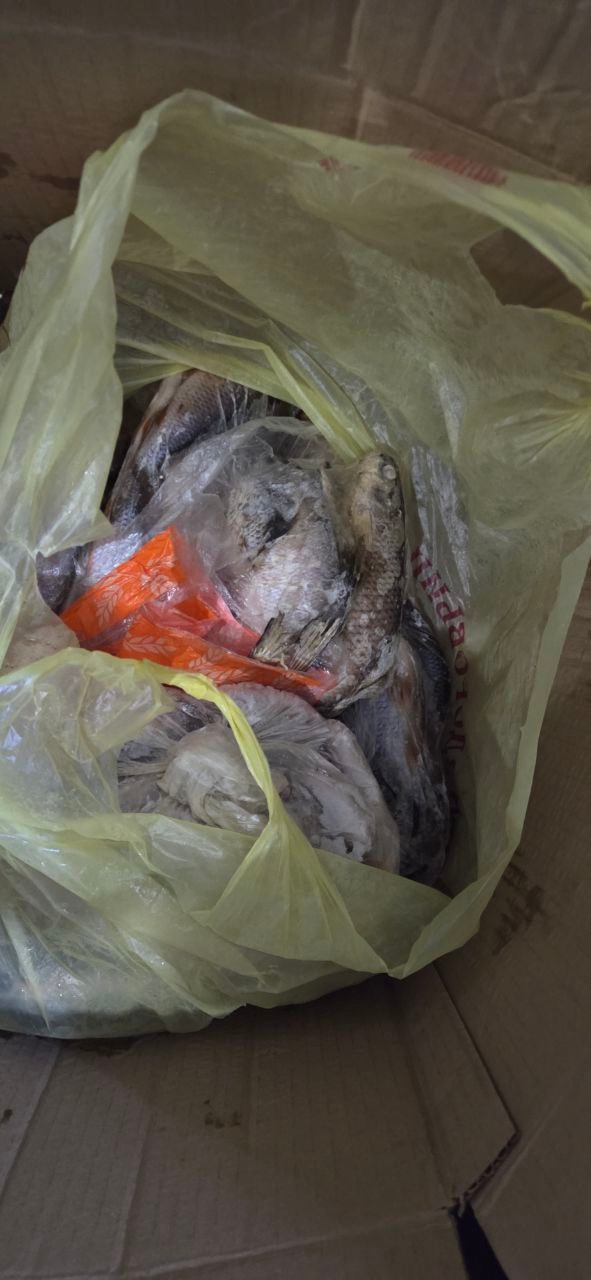 Жители Тверской области наловили рыбы для бойцов СВО