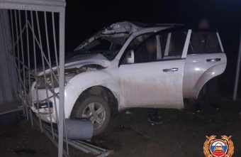 В Тверской области "Лифан" сбил лося и протаранил остановку лося