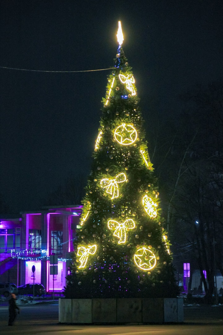 Главная новогодняя ель в Тверской области вызвала неоднозначную реакцию горожан