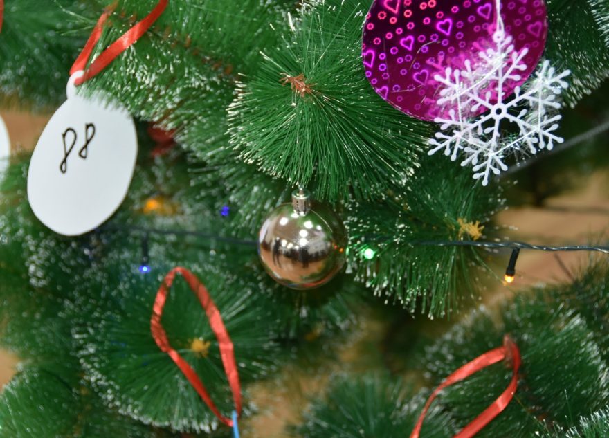 В Вышневолоцком округе стартовала «Ёлка желаний»