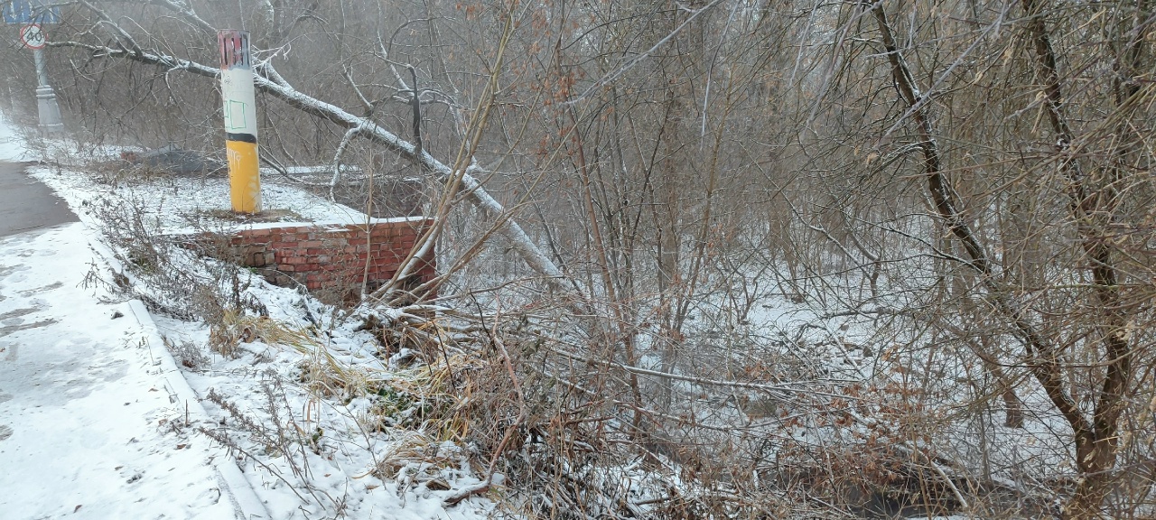 Шервуд, зольник и маньячный переулок: нетуристическая Тверь