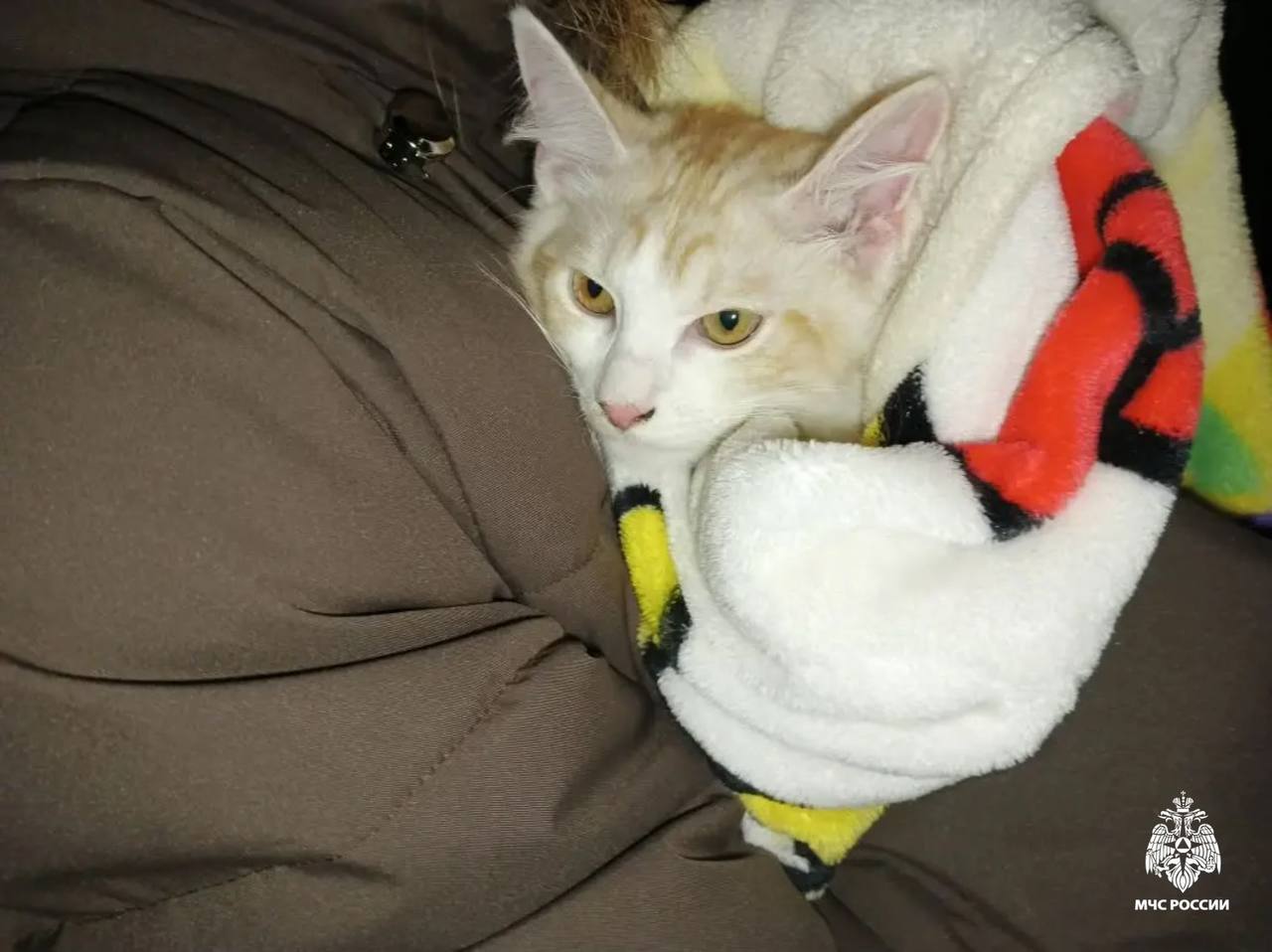 Пассажирам тверских автобусов рассказали о тонкостях оплаты одной картой за нескольких человек