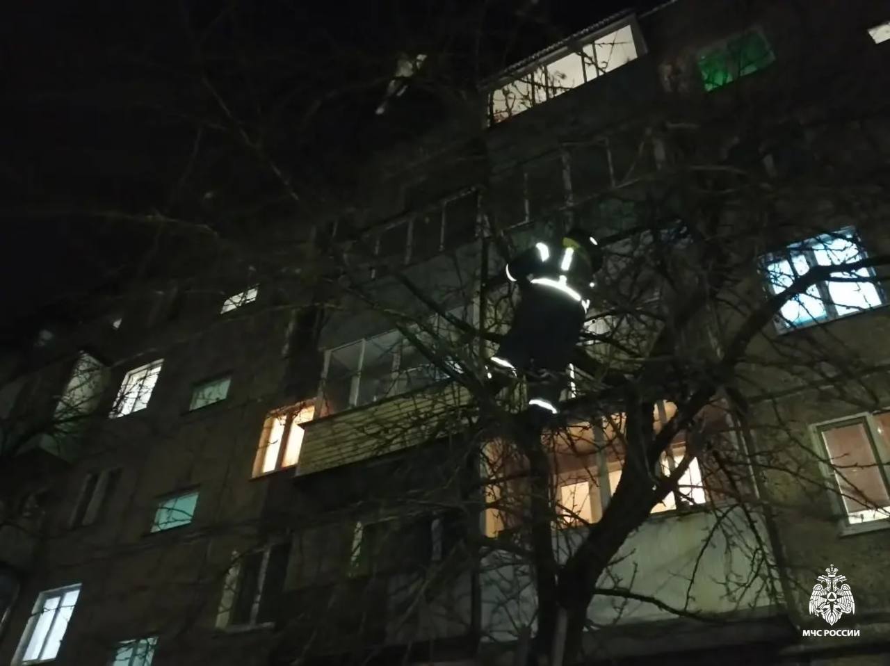 В Тверской области пожарные помогли спасти кота