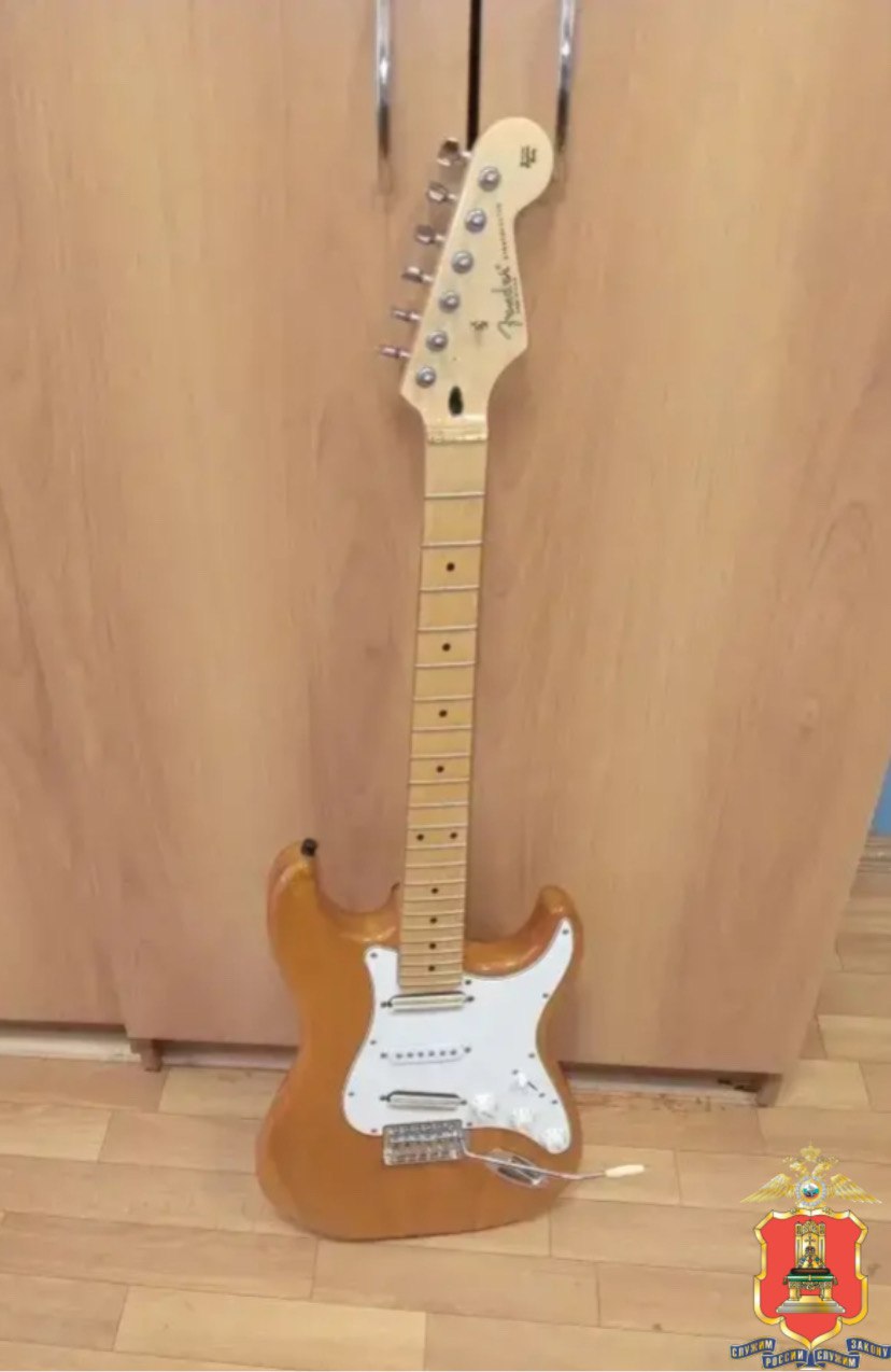 Житель Тверской области ударил жену электрогитарой по голове