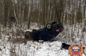 перевернулся