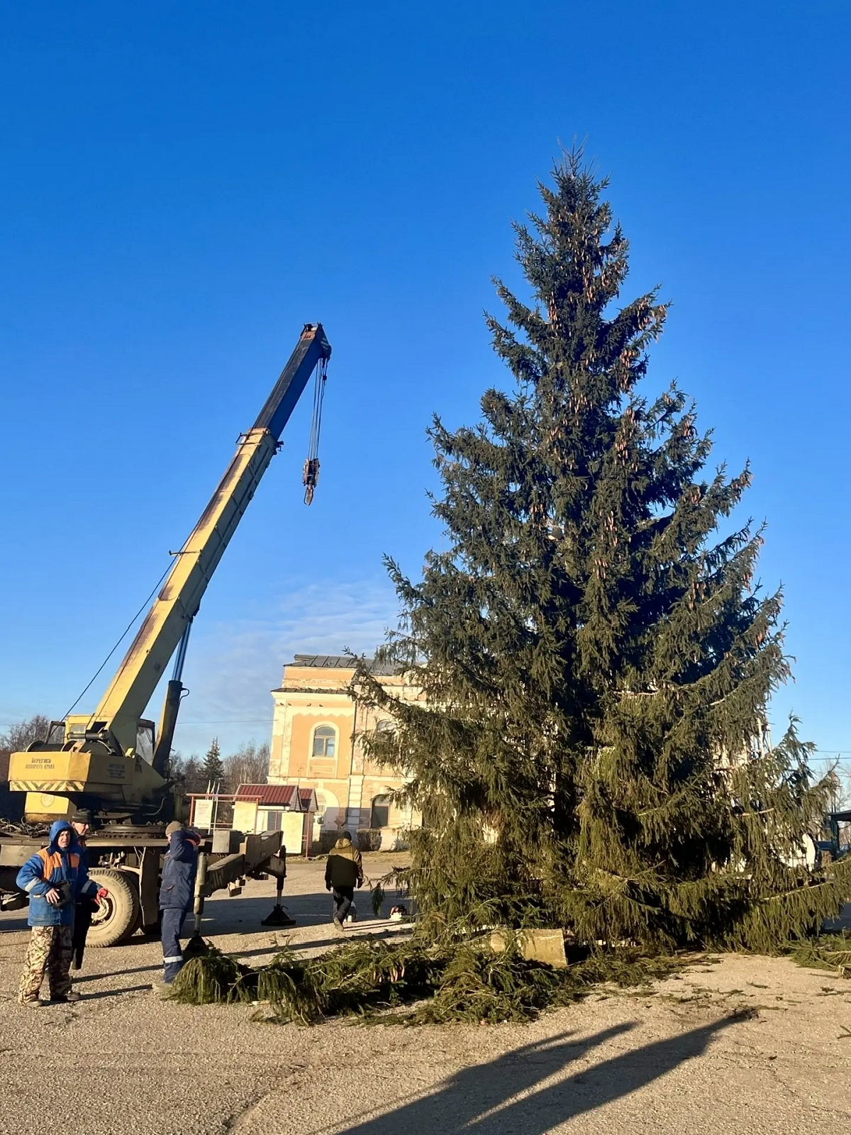 Пропавшую в Тверской области малолетнюю девочку нашли