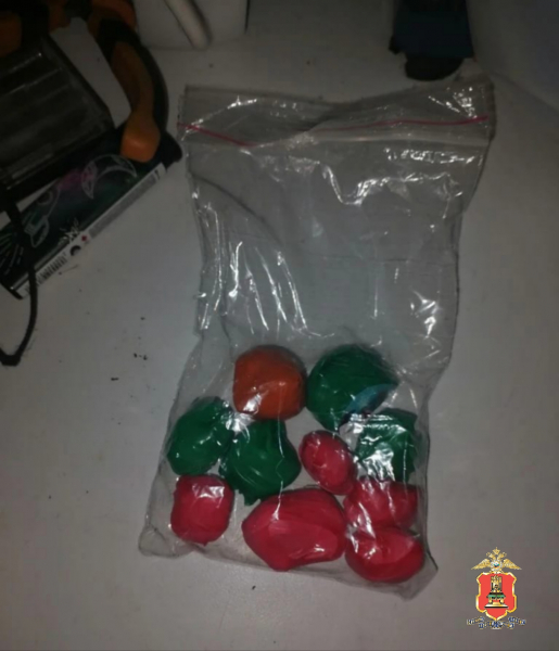 В Тверской области задержали наркоагрария, который выращивал в квартире коноплю