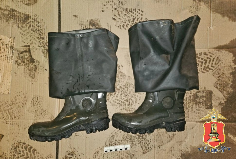 В Тверской области задержали троих браконьеров, застреливших лося