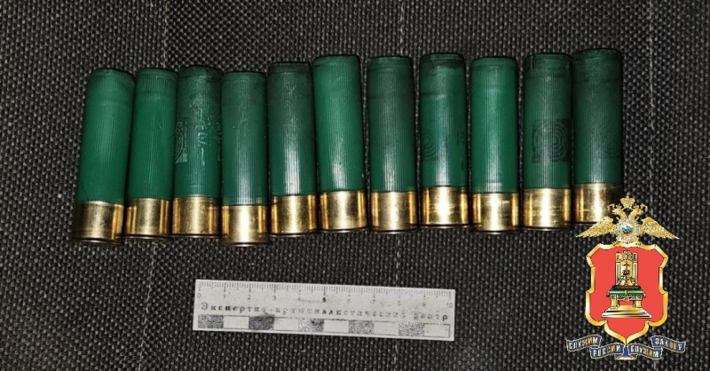 В Тверской области задержали троих браконьеров, застреливших лося