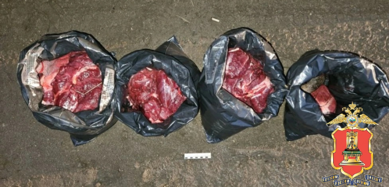 В Тверской области задержали троих браконьеров, застреливших лося