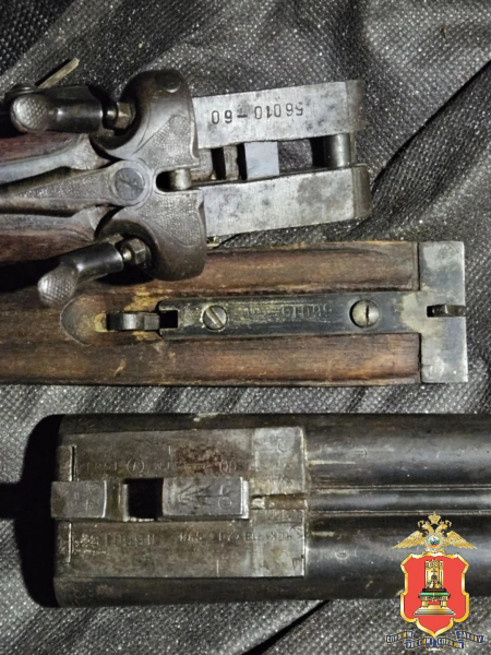 В Тверской области задержали троих браконьеров, застреливших лося