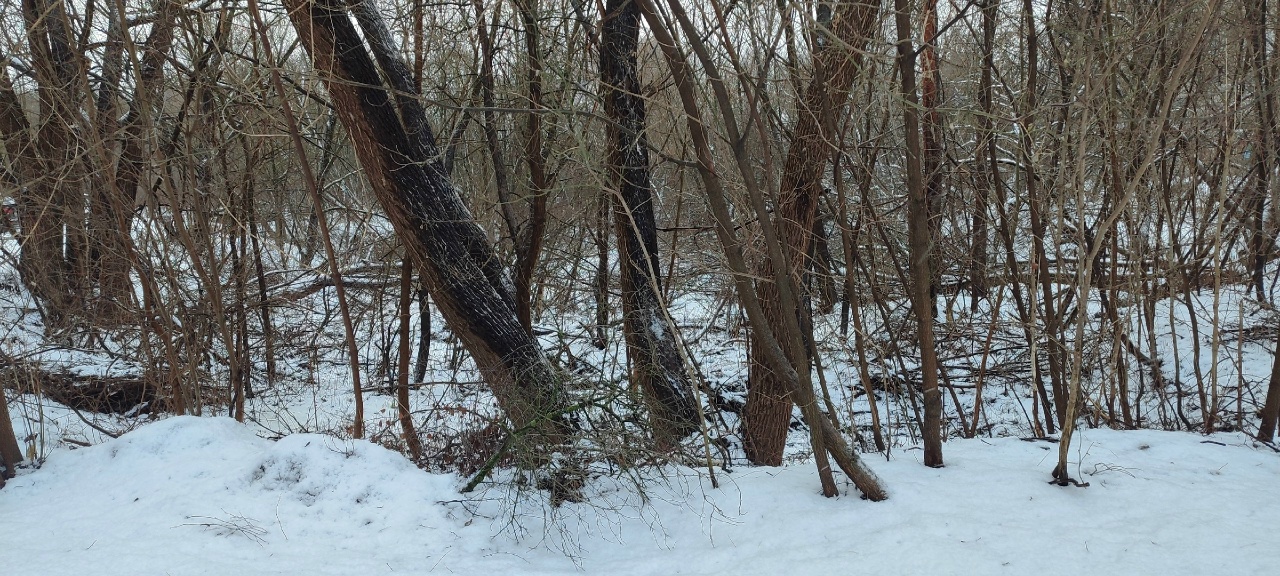Шервуд, зольник и маньячный переулок: нетуристическая Тверь