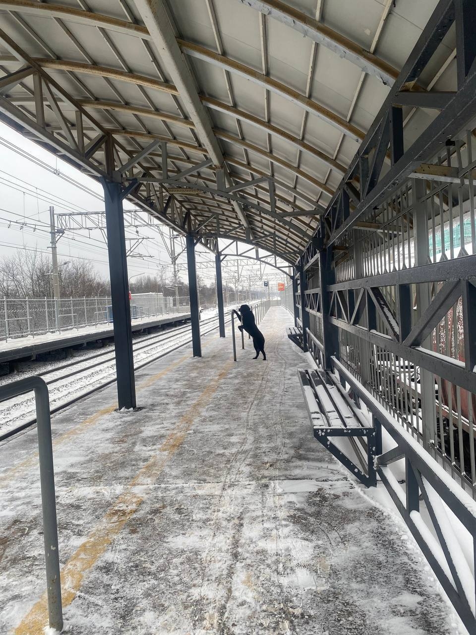 ВТБ приобрёл долю в Delimobil