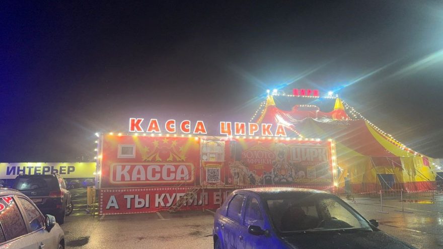 цирка-шапито