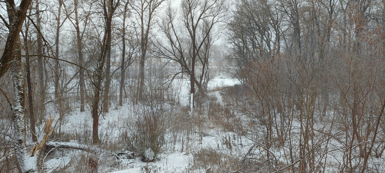 Шервуд, зольник и маньячный переулок: нетуристическая Тверь