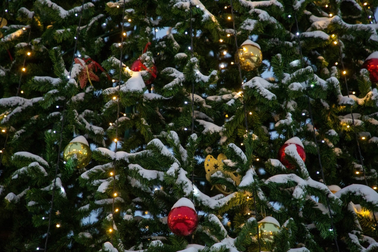 В Бологом жители и гости города погрузились в атмосферу сказочного волшебства и предновогодней суеты